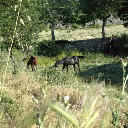 Gasthof Camera In Campagna Noci